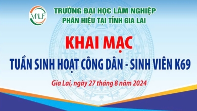 Tưng bừng ngày nhập học và tham dự Tuần sinh hoạt công dân - sinh viên của Tân sinh viên K69 - Phân hiệu Gia Lai