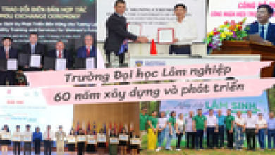 GS Phạm Văn Điển: Trường ĐH Lâm nghiệp đang trở thành đại học số với tốc độ cao