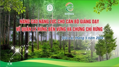 Tập huấn “Nâng cao năng lực, nhận thức cho cán bộ giảng dạy về Quản lý rừng bền vững và chứng chỉ rừng”